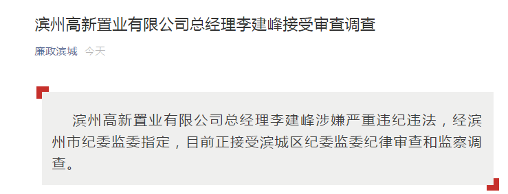 滨州高新置业有限公司总经理李建峰接受审查调查