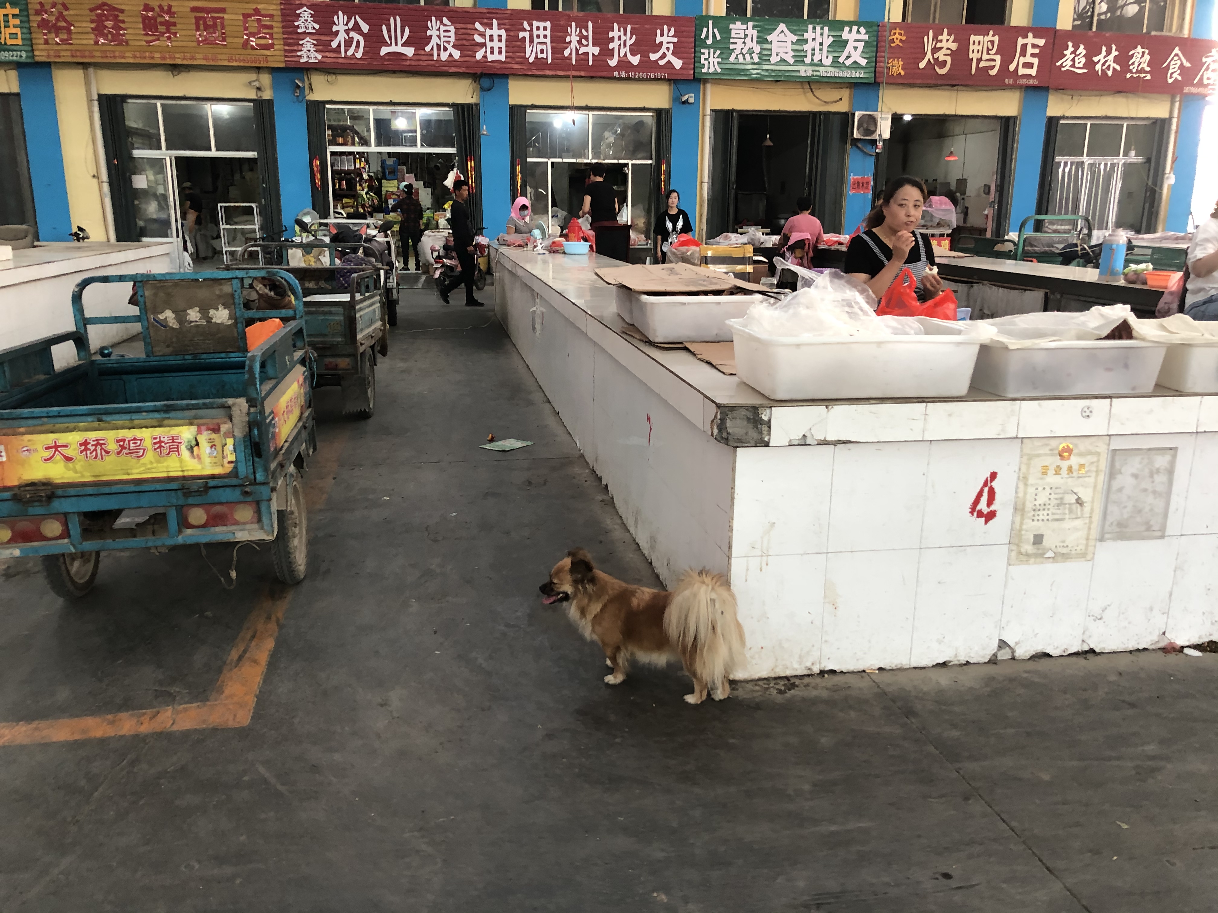 脏得不像话!沾化区富国街道这两处农贸市场必须整改