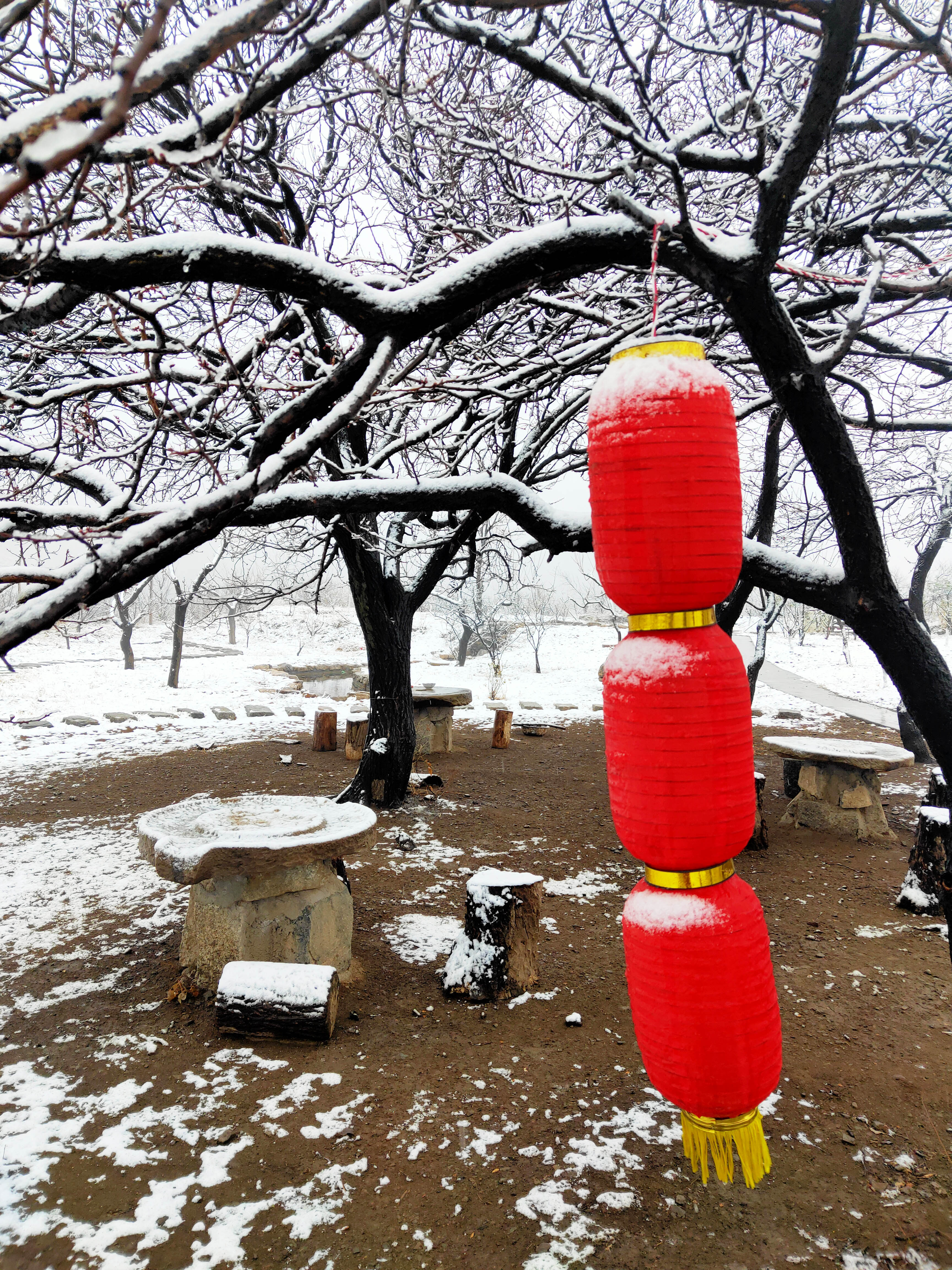 邹平正月十五雪打灯