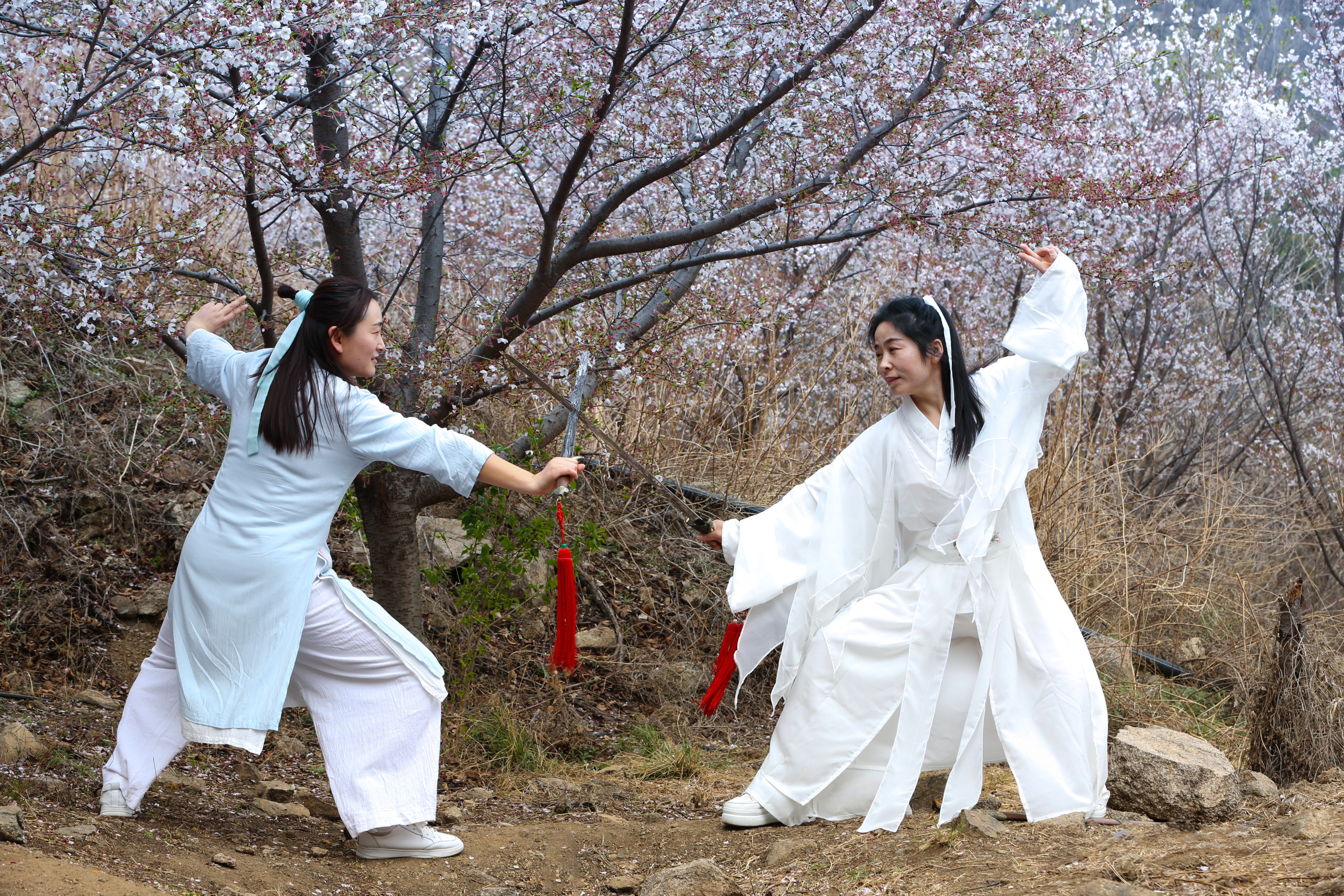 "侠女下凡 邹平樱花山上舞太极