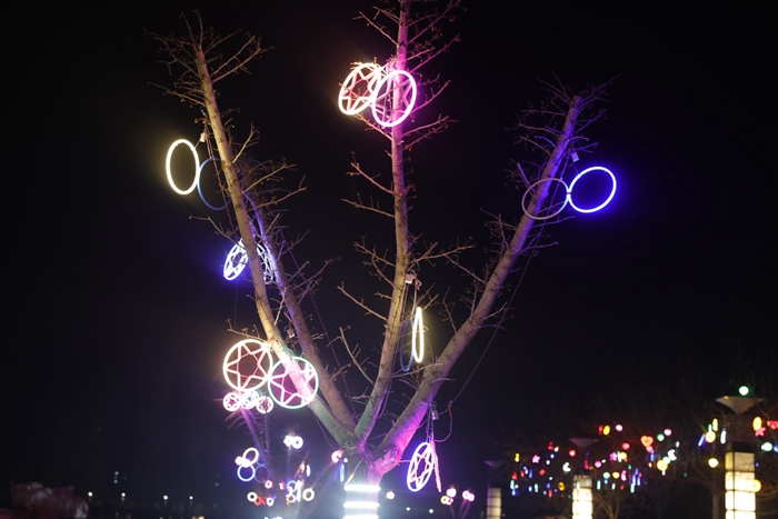 流光溢彩过大年阳信县城夜景靓了