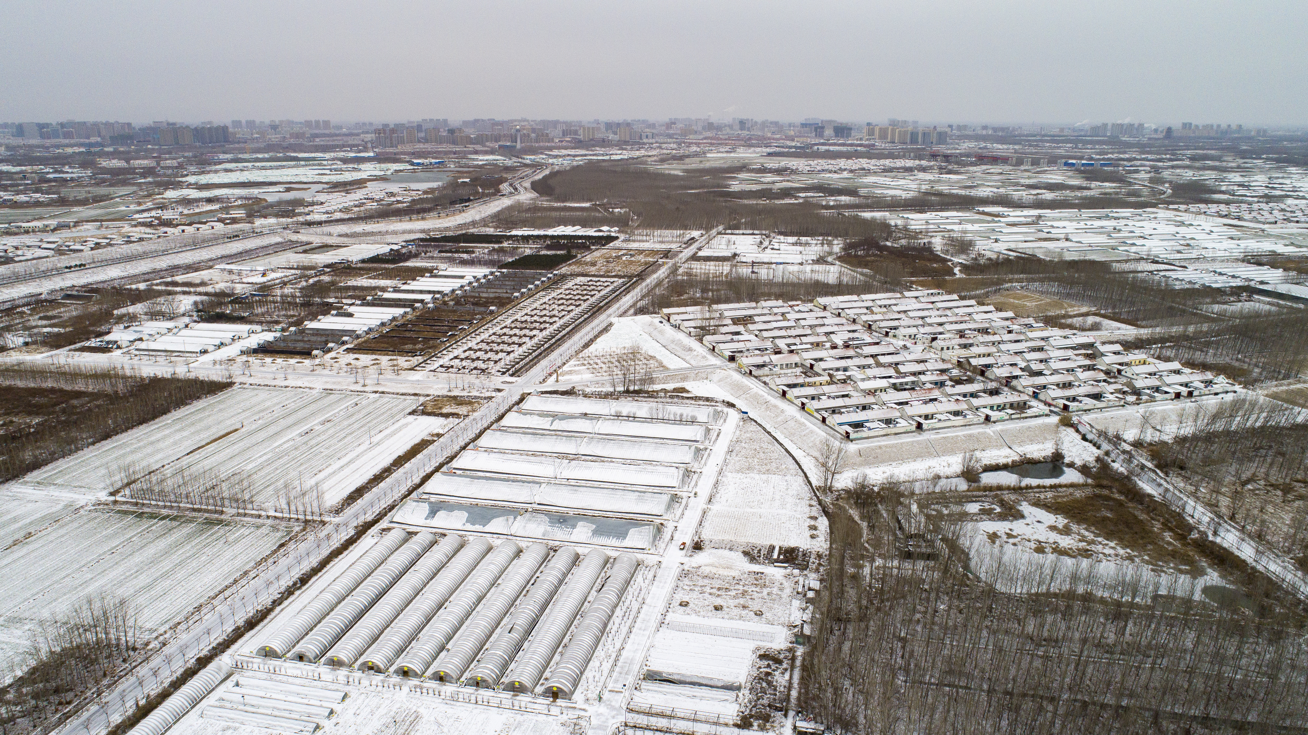 黄河,垂柳,农庄,田园……,雪后的黄河之星生态园,目光所到之处皆为粉