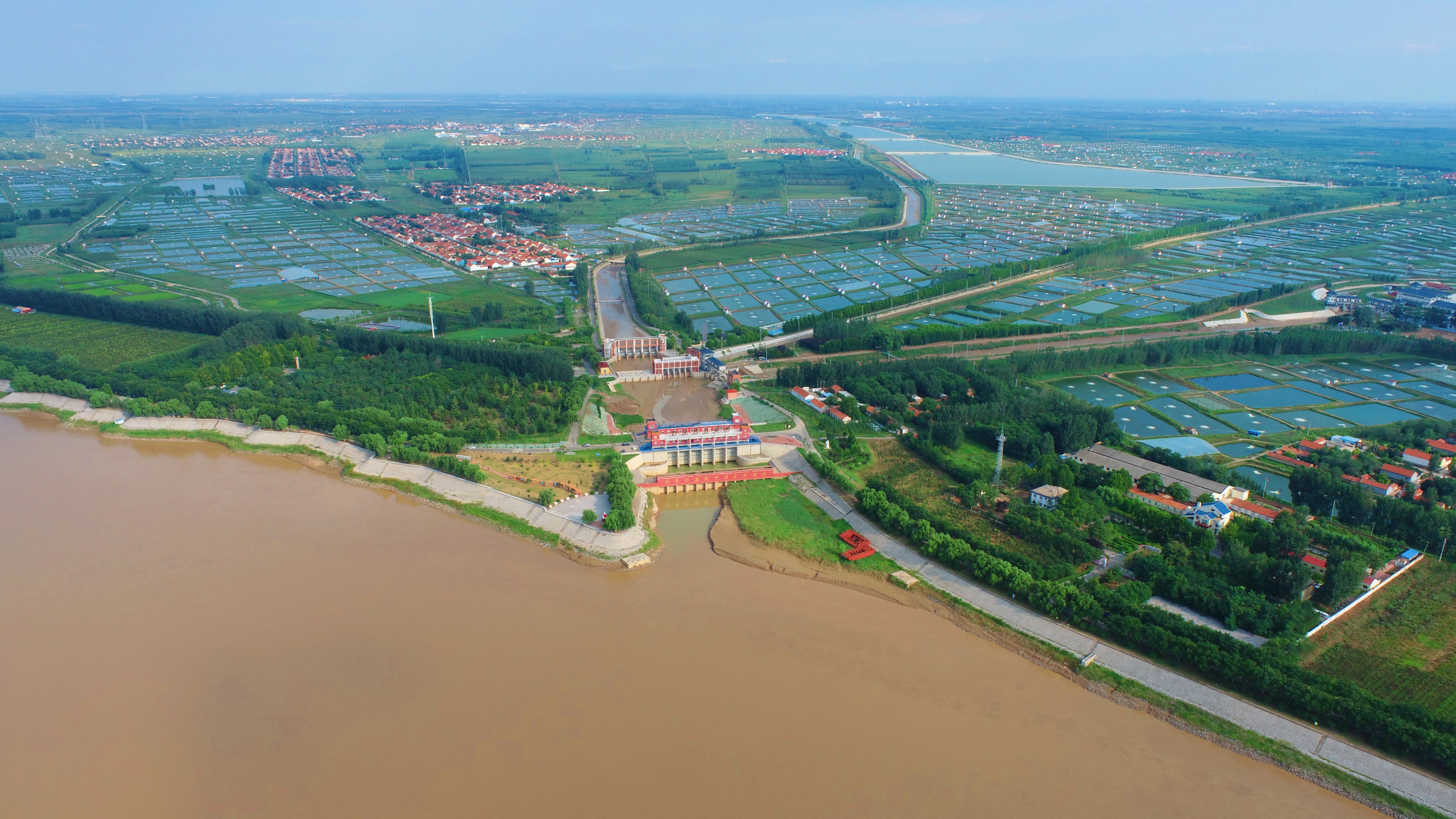 黄河时代 滨州答卷①始终把生态保护放在首位 打造河美水秀生态长廊