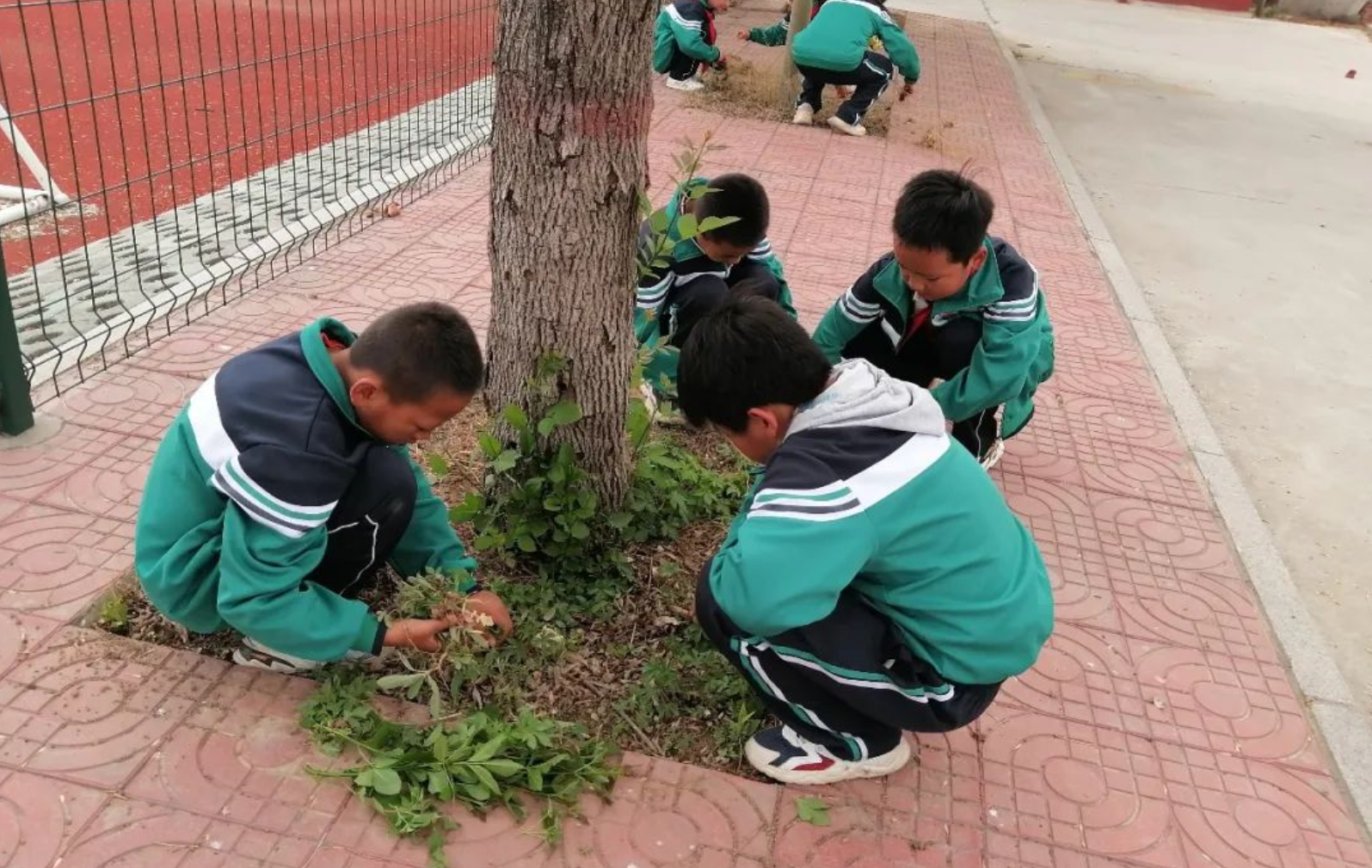 无棣县各学校、幼儿园开展劳动主题教育活动