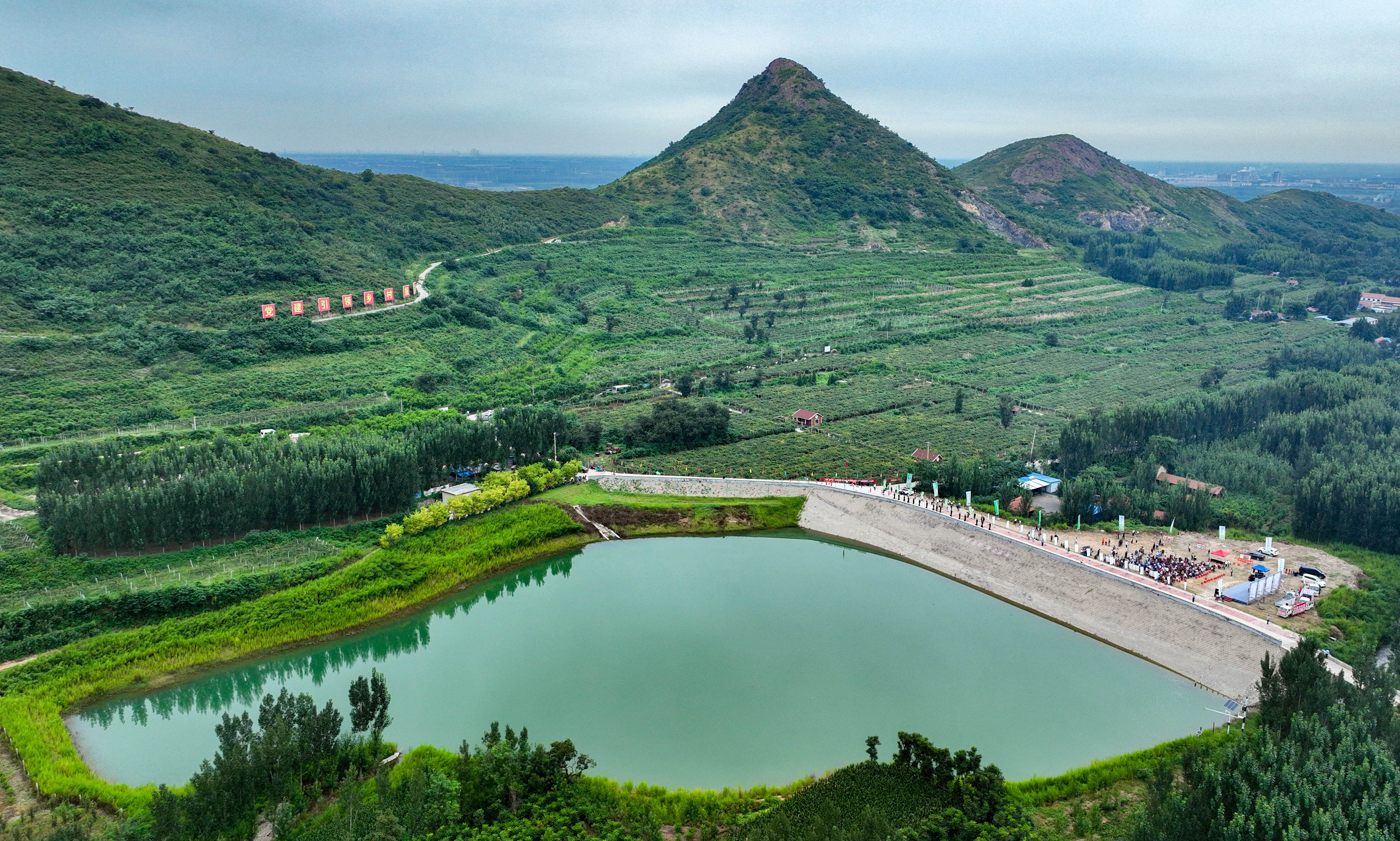 邹平:山村支部领办合作社的猕猴桃甜蜜上市_滨州网